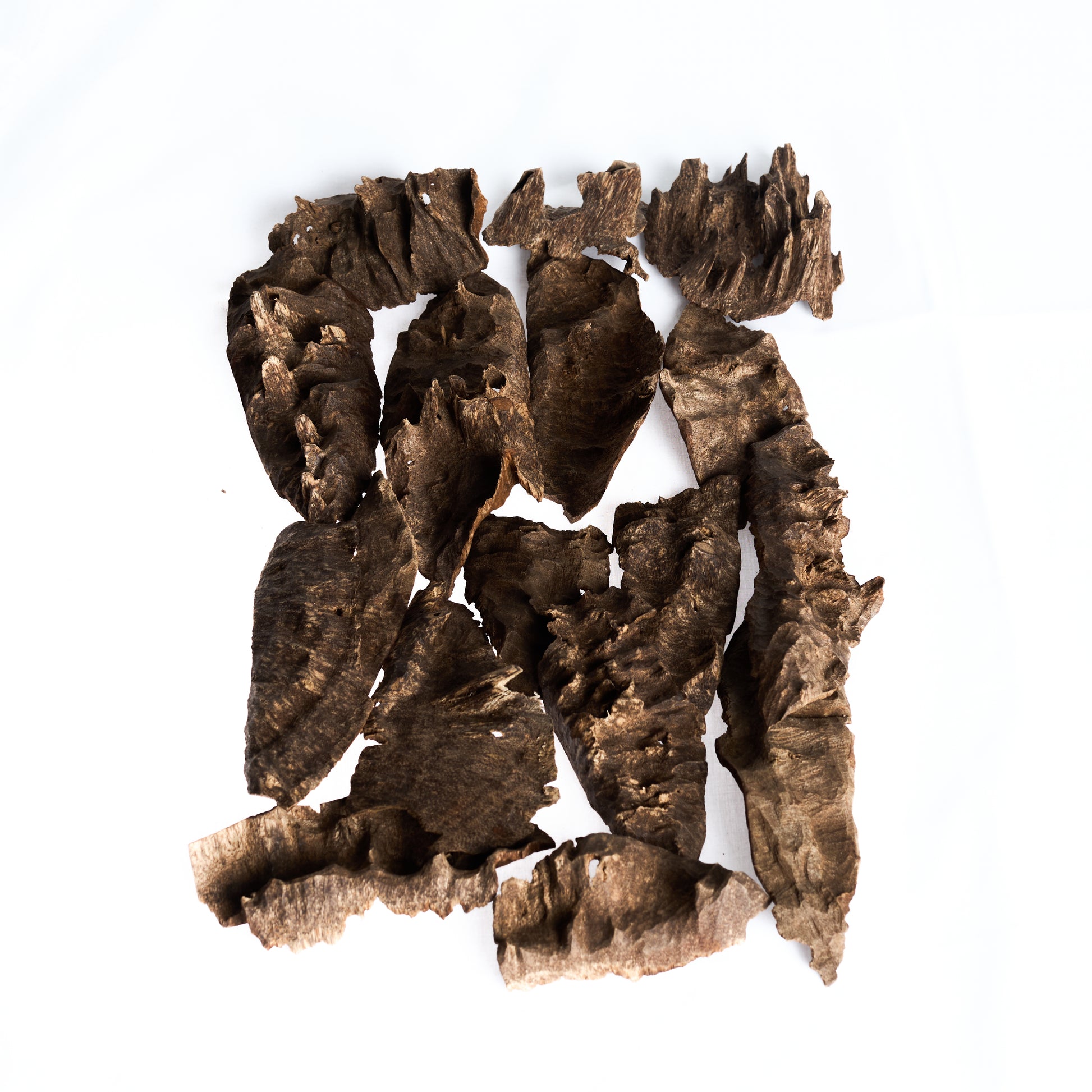 Oudh Chaad
