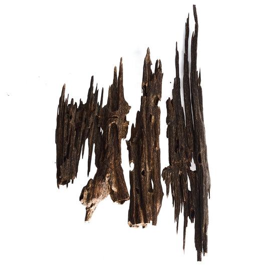 OUDH AZRAQ MAJID AL SABAH KHAAS - Naqwah Perfumes